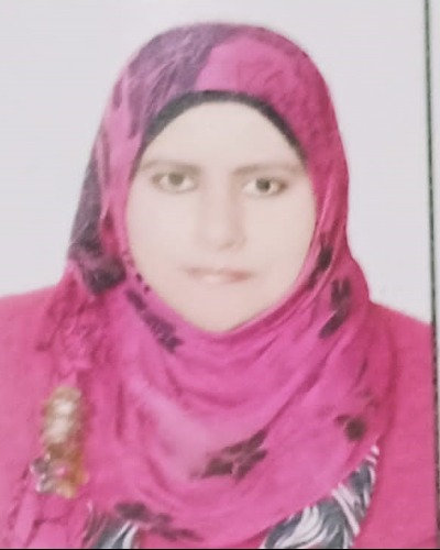 Heba Gamal Elgamal, Speaker at nurses conference